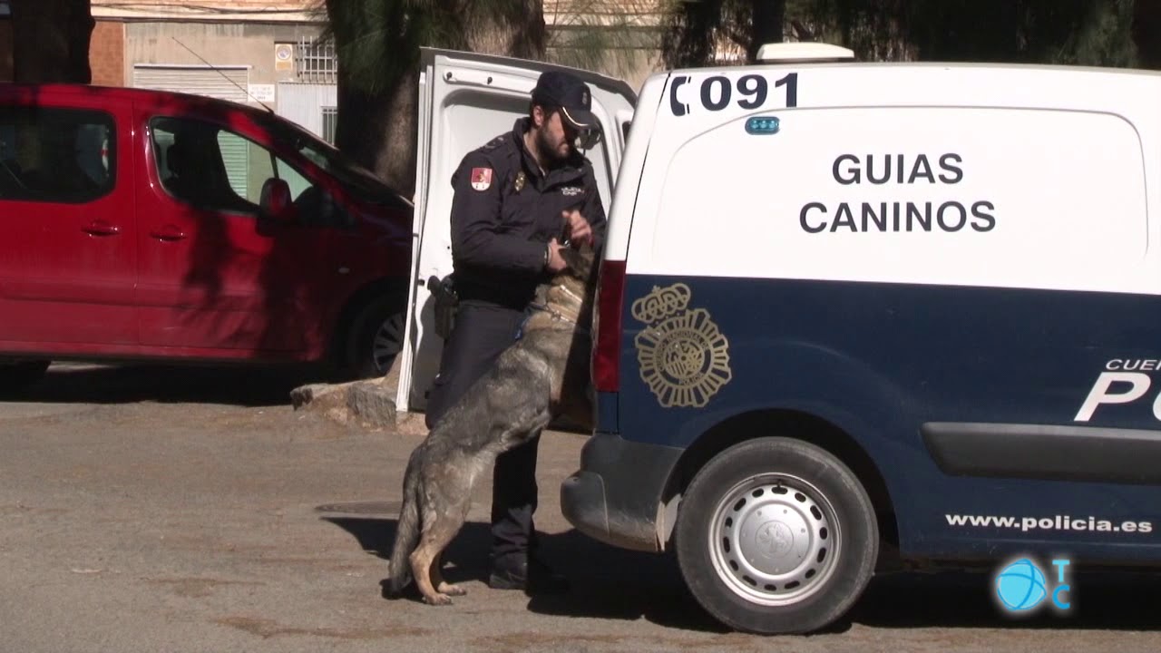 Redada en José María Lapuerta