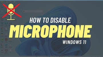 How to Disable Microphone in Windows 11 ✅
