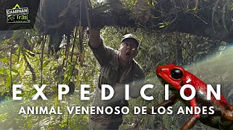 EXPEDITION: In search of the COLOMBIAN POISON FROG