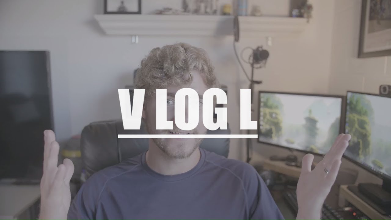 What Is V LOG L? YouTube