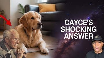 Do Animals Have Souls? Edgar Cayce’s Answer Will Shock You! 