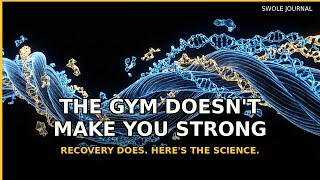 The Gym Doesn't Make You Strong — Recovery Does