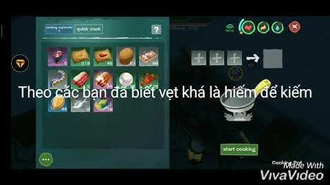 Cách bắt vẹt trong 1 tuần/ how to tame parrot 1 week|| UTOPIA ORIGIN