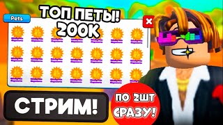 ПЕТЫ НА 200-600К МЕГА РАЗДАЧА В СИМУЛЯТОРЕ РУКОПАШНОГО БОЯ В ARM WRESTLE SIMULATOR В РОБЛОКС! ROBLOX