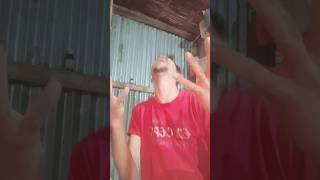 bahut custard dialogue #musicgenre #lifeisbutadream #songlove #comedy #ihavethisthingwithplants