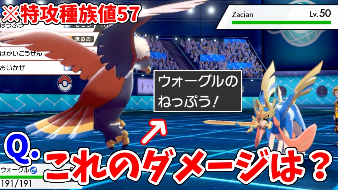 なぜか特攻57の ウォーグル が特殊型で強い理由wwwwwめちゃくちゃ環境に刺さってワロタ ポケモン剣盾 Youtube