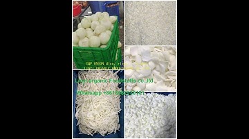 #onion #process frozen onion slices #onionslices #frozenonion