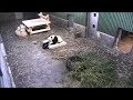 早朝5時からのタイヤ遊び