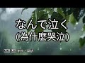 なんで泣く【哲也の經典日本歌|中文字幕|歌詞】韓國羅勳兒1982年原版,日文版在 2006年發佈。羅勳兒作詞作曲,他不只是一位歌手,更是一位創作型音樂人。天童よしみ以其渾厚有力嗓音,唱出對愛情的執著。