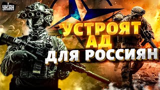 ⚡Свершилось! Терпение Лопнуло: Натовские Бойцы Устроят Ад Для Россиян. Путин В Ужасе