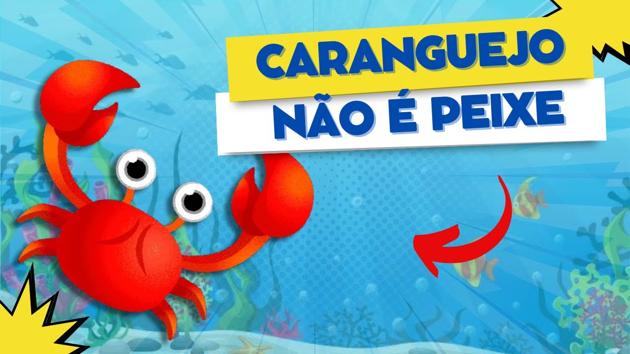 CARANGUEJO NÃO É PEIXE 🎵 MÚSICA INFANTIL - RYAN KIDS - YouTube