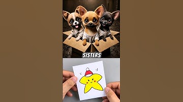 Als je een chihuahua adopteert #ai #chatgpt #memes