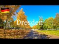 🇩🇪 Autumn in Dresden, Germany 4K. Driving downtown near Zwinger