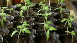 Chemical Reactions in Everyday Life Information