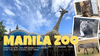 [4K] Manila Zoo 2024 walking tour Philippines new update zoo animals viewing | LEAD THE WAY VLOGS