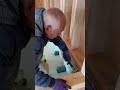 【職人の技】大工さんは床下の下地をきつめに施工します|高性能住宅の高気密・高断熱の注意点#shorts