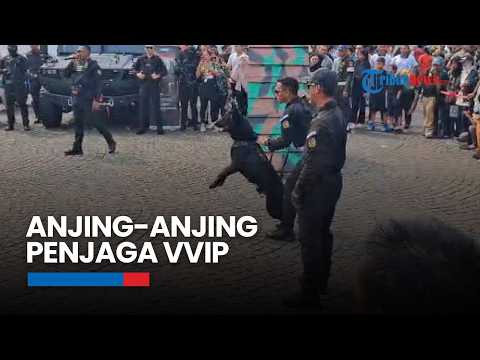Getting to Know the Paspampres Engineering Battalion K-9 Unit That Uses Dogs to Secure VVIPs