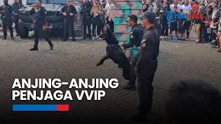 Mengenal Unit K-9 Batalyon Zeni Paspampres yang Gunakan Anjing untuk Mengamankan VVIP screenshot 1