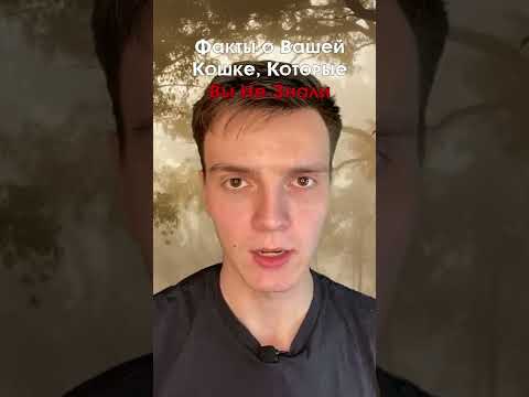 Факты о кошках, которые вы не знали...