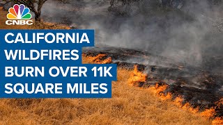 California wildfires burn more than 11,000 square miles