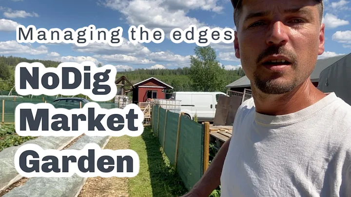 NO DIG/NO TILL: KEEP THE EDGES CLEAN!