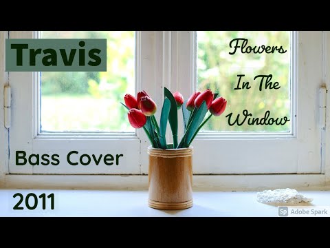 #111 - Bass Cover of Travis's - 'Flowers in the wi...