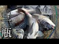 このエリアヤバ過ぎ‼ウブな年無しゴロゴロ