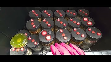 Importance Of The Break & Shake