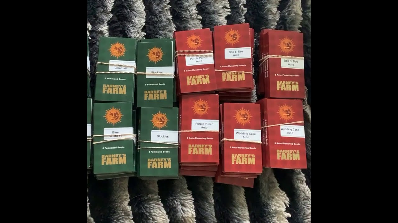 BARNEYS FARM : NEW DROP