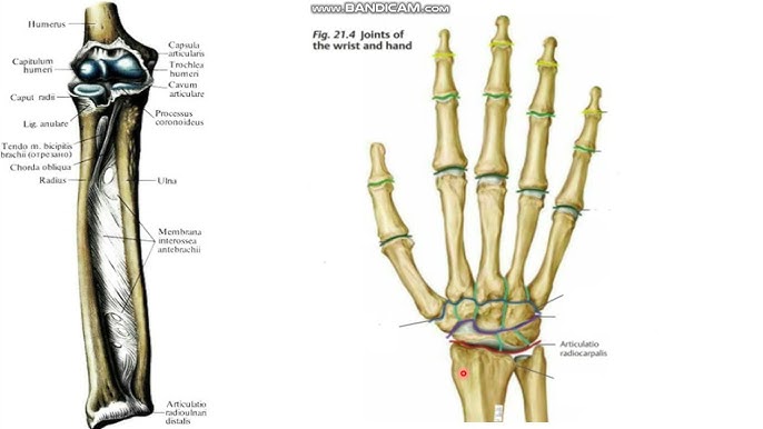 Әкесі үйде сүйіктісімен жыныстық қатынасқа түседі
