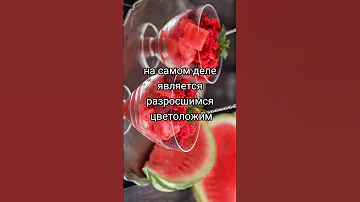 Почему плоды земляники, клубники и малины это не ягоды?