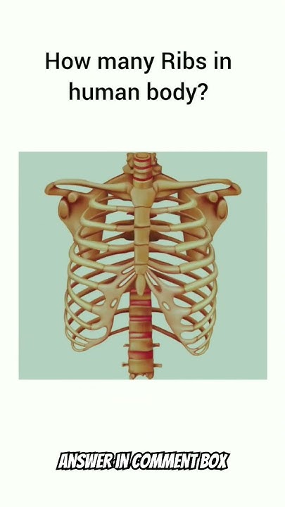 how-many-ribs-in-human-body-neet-biology-youtubeshorts-shorts