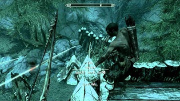 Skyrim : Space Time Continuum Mod