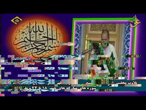 الدكتور أحمد نعينع سورة الحشر من ايران