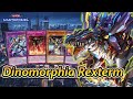 Dinomorphia Rexterm Deck Master Duel | Fusion LP Burn & Negate Trap Control Ranked Gameplay ダイノルフィア