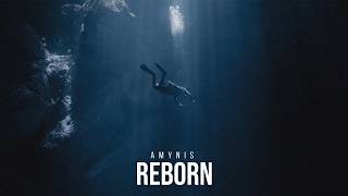 Amynis - Reborn