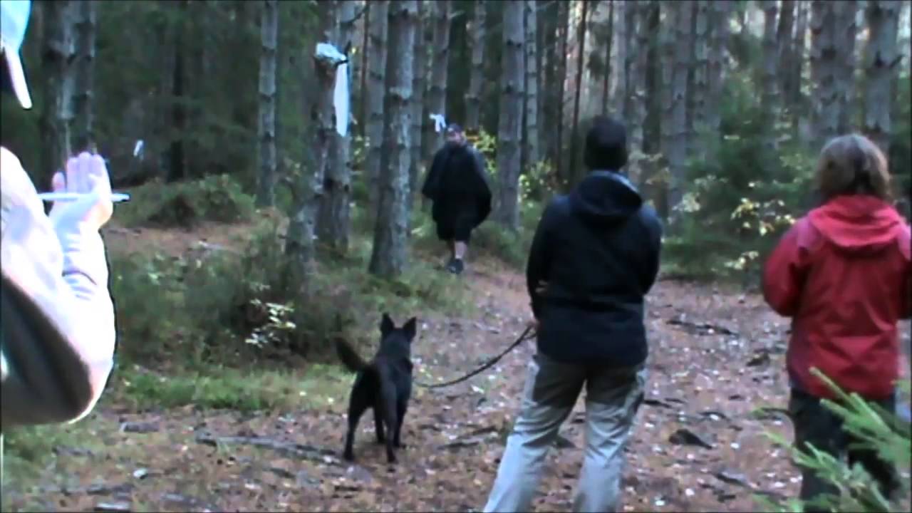 MT Vickulas Sting - Lek med varelse