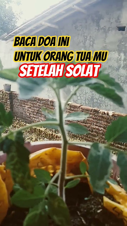 baca doa ini untuk orang tua mu setelah solat #kisahislami #shortislami #statuswa #shorts