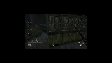 The window!  #dbd #deadbydaylight #dbdclips #dbdshorts #deadbydayligiohtcheat #gaming