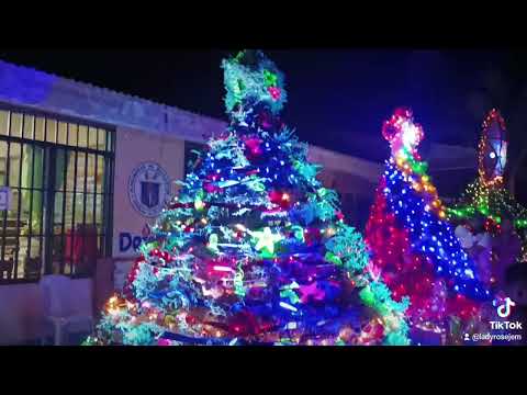 JA Morales Elementary School Christmas Tree 🌲