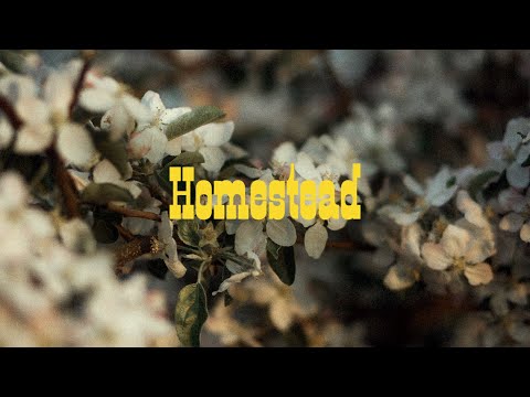 Behind the Song: Homestead