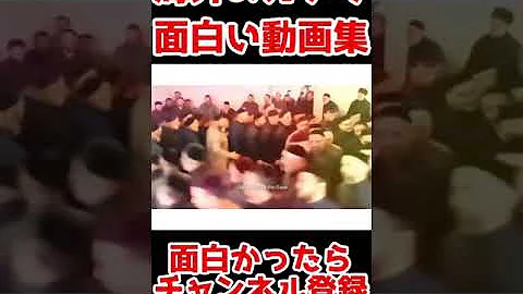 腹筋崩壊不可避 海外のガチで面白い動画集 Mp3 腹筋崩壊不可避 海外のガチで面白い動画集 Mp3