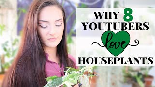 WHY WE LOVE HOUSEPLANTS | YOUTUBER COLLABORATION | Collecting Indoor Plants | Houseplants