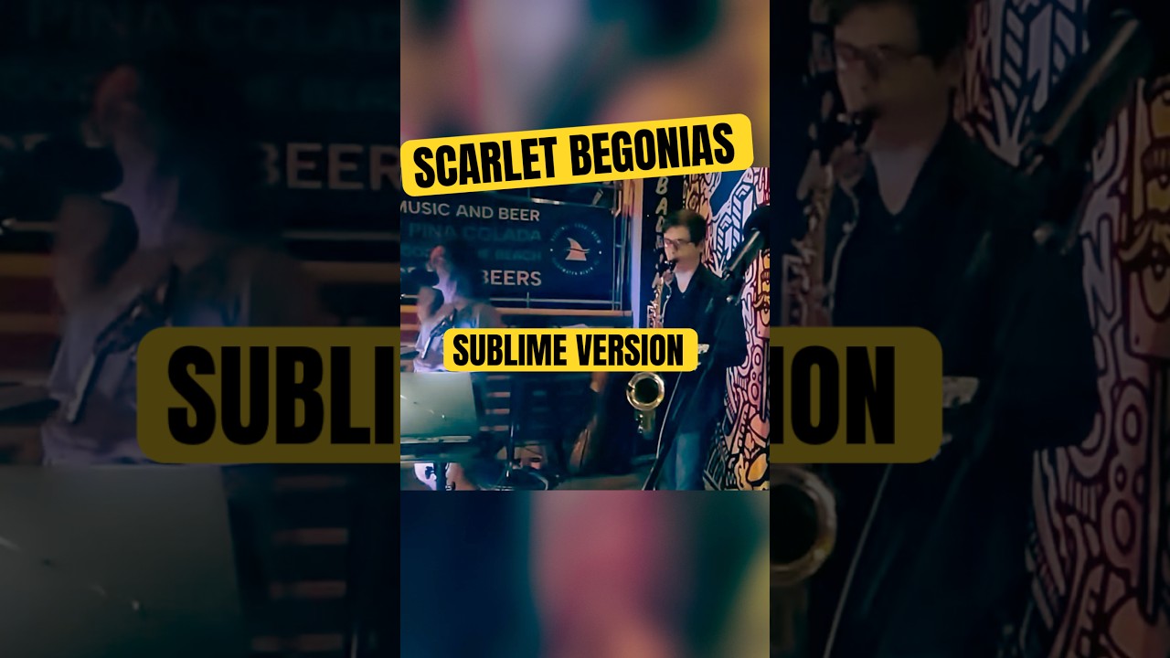 This groove never gets old 🌹 #livelooping #gratefuldead #music