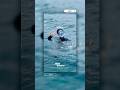 Free Dive & Snorkeling #timediverspenida #timedivers #nusapenidabali #nusapenidadive #penidaupdate