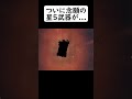 【原神】初心者の奇妙な探索シーン切り抜き【ゆっくり実況】#原神 #genshinimpact #ゆっくり実況