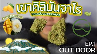 [OUT DOOR]  #EP1 รีวิวกัญชาสายพันธ์ุ Kilimanjaro : Grower by Buddynicebud
