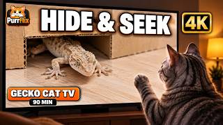Videos for Cats to Watch: Gecko Hide & Seek for Cats | 90 Minutes of Cat TV in 4K 60fps screenshot 5