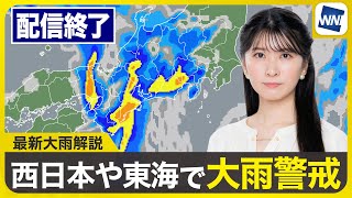 ウェザーニュースの配信のサムネイル画像