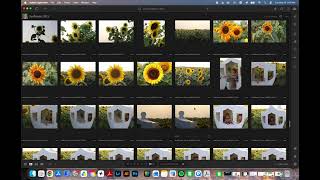 Editing and Exporting JPG files from Adobe Lightroom (Rules of Composition)